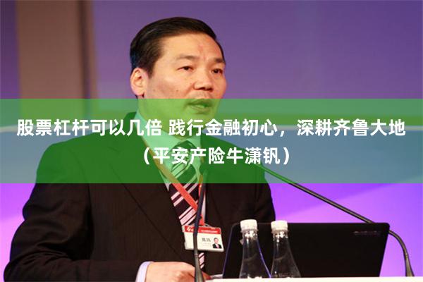 股票杠杆可以几倍 践行金融初心，深耕齐鲁大地（平安产险牛潇钒）
