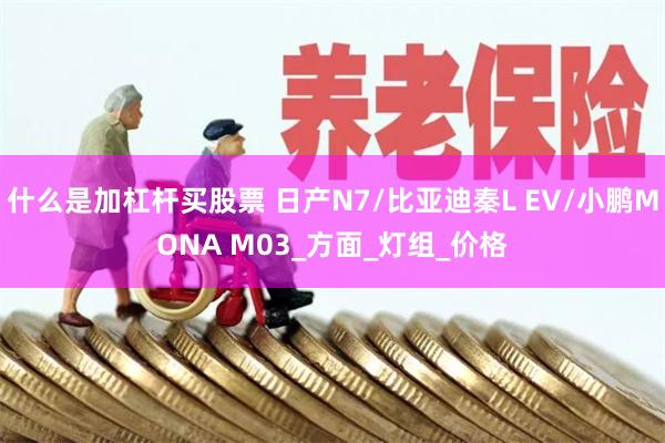 什么是加杠杆买股票 日产N7/比亚迪秦L EV/小鹏MONA M03_方面_灯组_价格