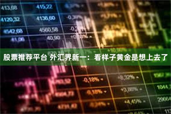 股票推荐平台 外汇界新一：看样子黄金是想上去了