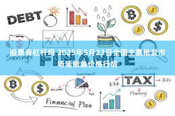 股票有杠杆吗 2025年5月23日全国主要批发市场活鳜鱼价格行情