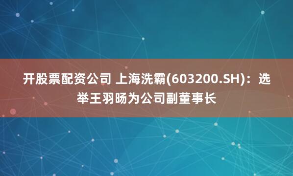 开股票配资公司 上海洗霸(603200.SH)：选举王羽旸为公司副董事长